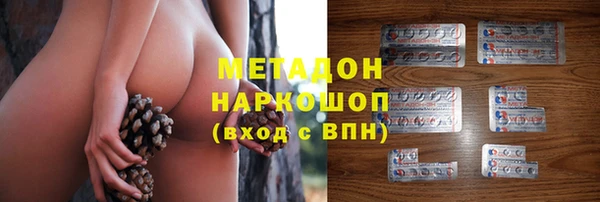 ПСИЛОЦИБИНОВЫЕ ГРИБЫ Богданович