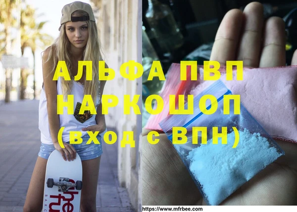 ПСИЛОЦИБИНОВЫЕ ГРИБЫ Богданович