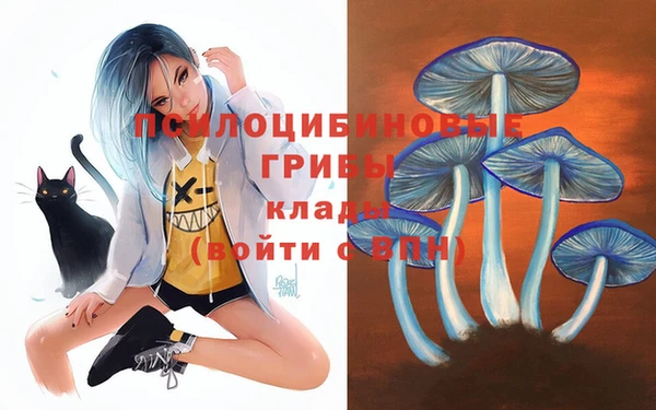 гашиш Бородино