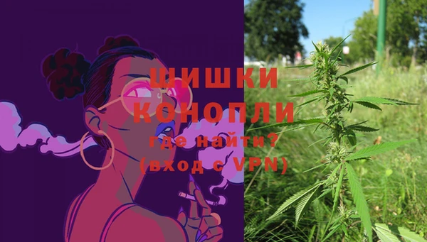Альфа ПВП Богородск