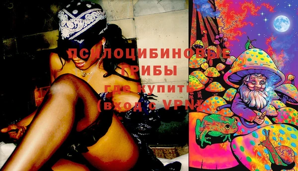 стаф Богородицк