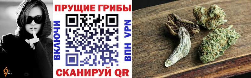 ссылка на мегу ONION  Прокопьевск  Псилоцибиновые грибы Psilocybe  где можно купить наркотик 